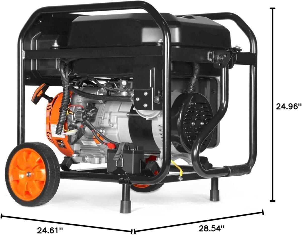 WEN DF8000X 8000-Watt Dual Fuel Electric Start Generator with CO Watchdog