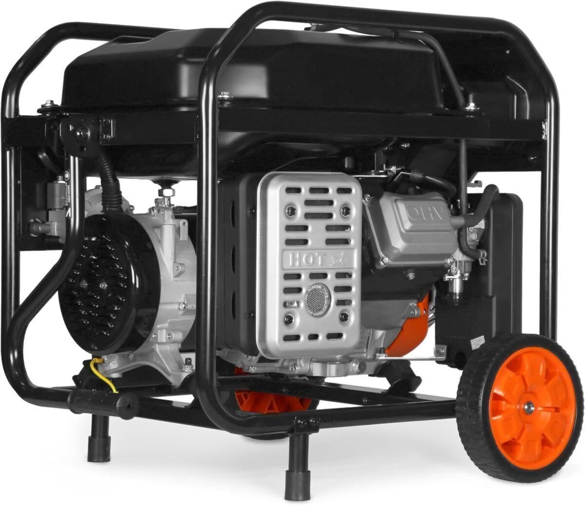 WEN DF8000X 8000-Watt Dual Fuel Electric Start Generator with CO Watchdog