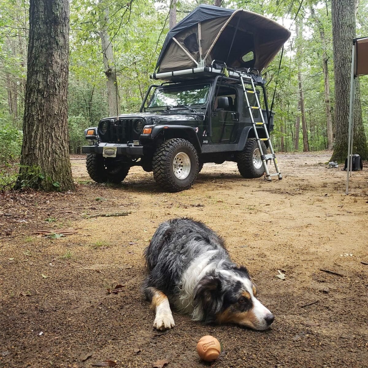 Raptor Series 100000-126800 Offgrid Voyager Truck SUV Camping Rooftop Tent